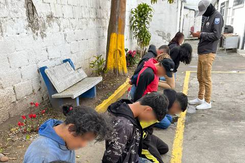 Operativo en el mercado Mayorista permitió la desarticulación de presunta banda delictiva en el sur de Quito