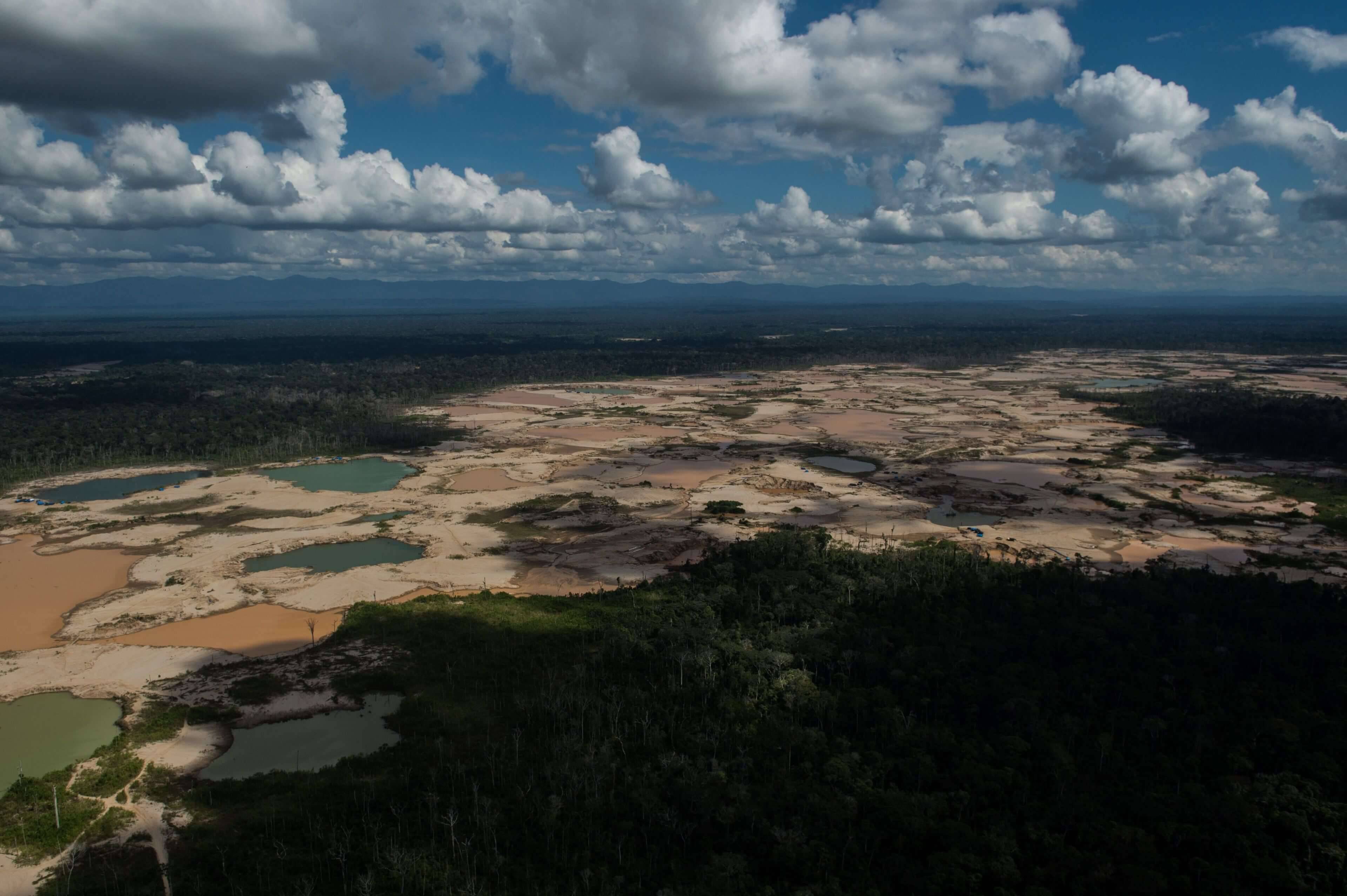 Destrucción Del Amazonas Las Principales Amenazas Para La Mayor Selva Tropical Del Mundo En Los 