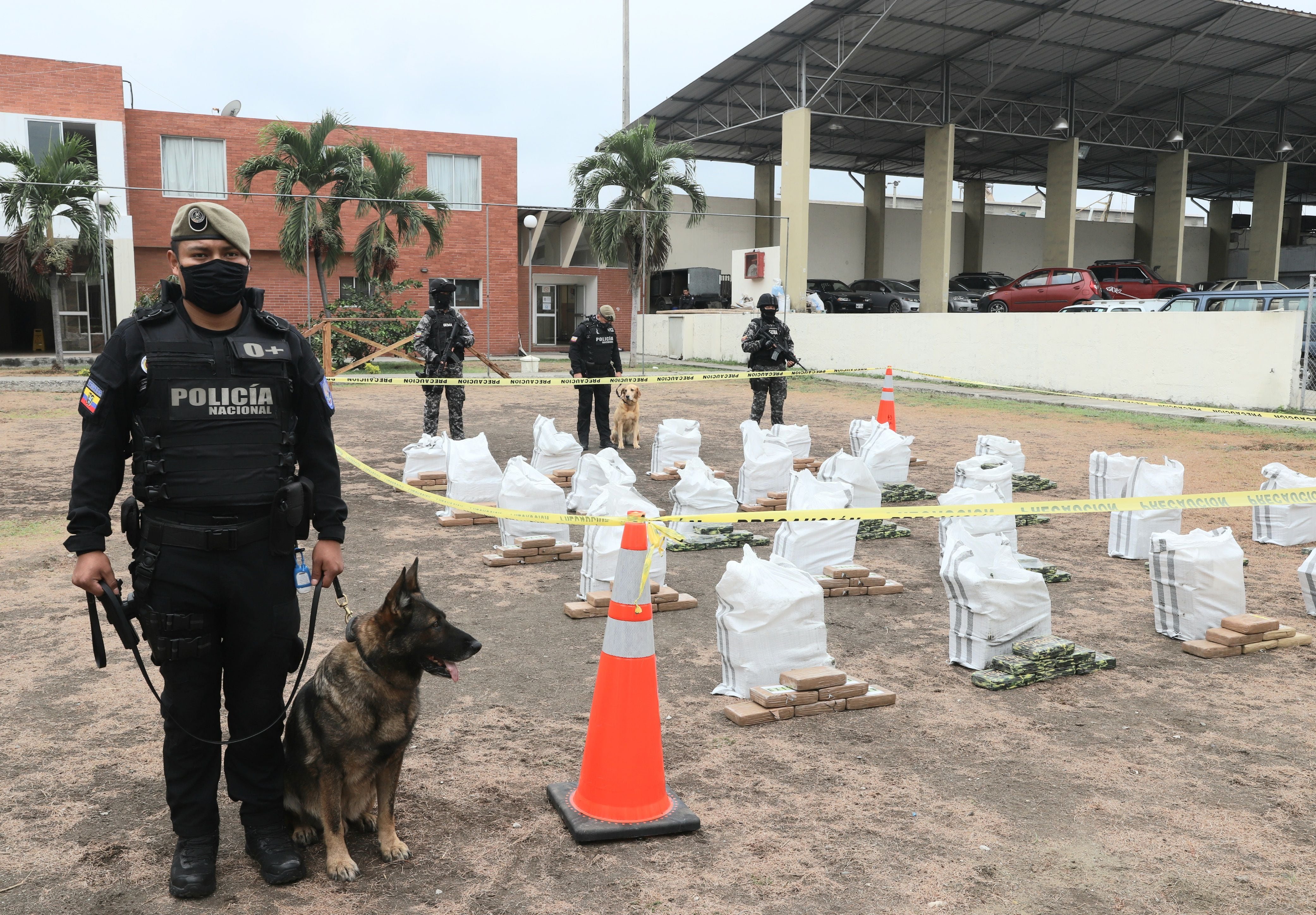 Con menos recursos que en 2018, Policía Antinarcóticos aumenta anualmente los decomisos de droga en el país