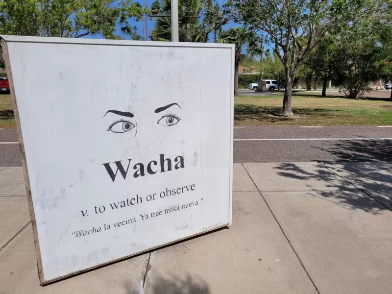 "Wacha" significa observar. Analía Llorente