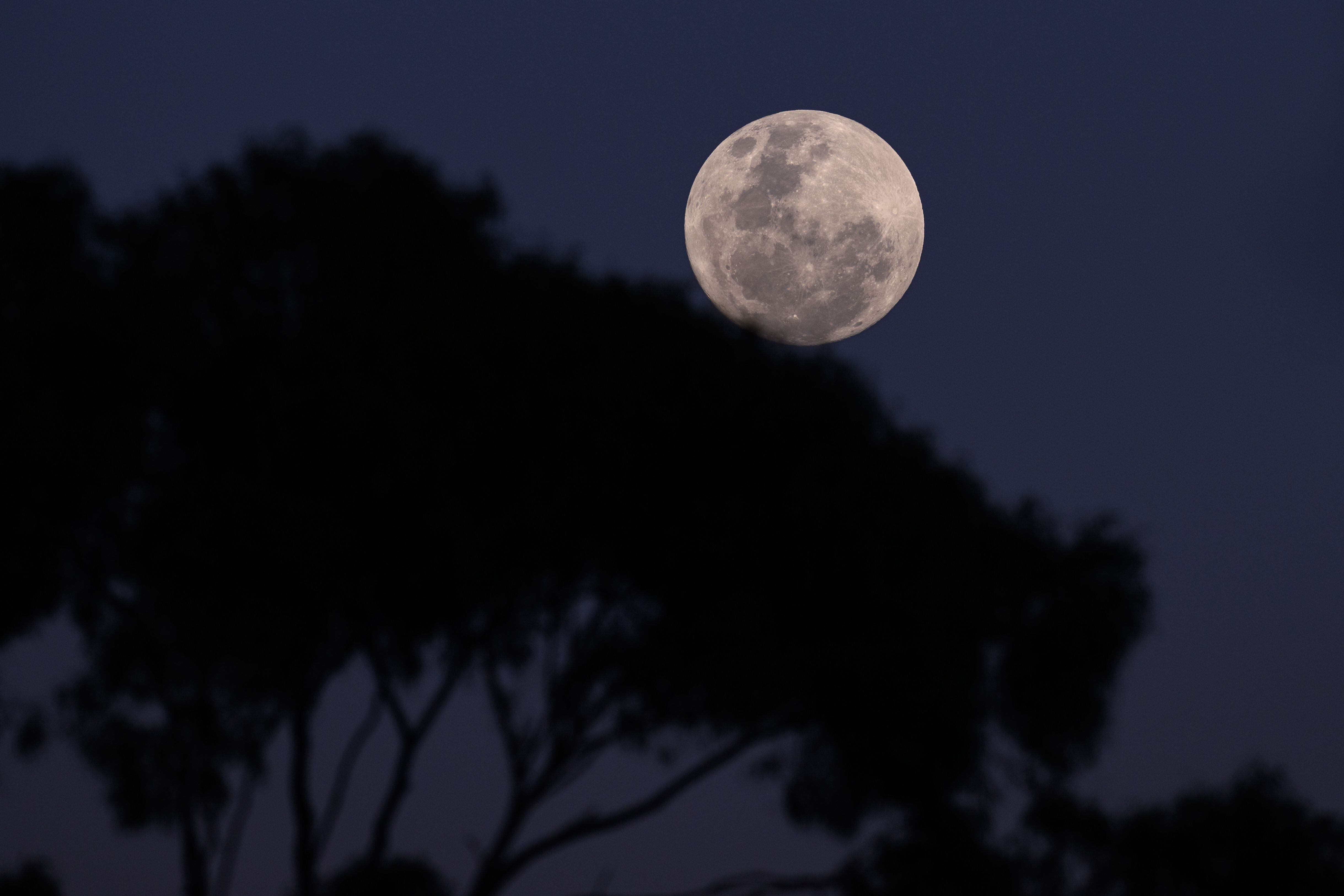 Calendario Lunar 2024: superluna, eclipses y fases lunares de enero a  diciembre