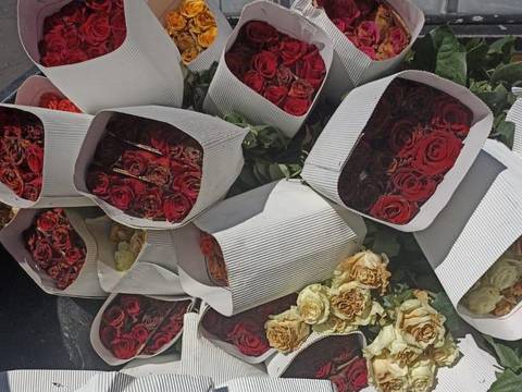 Las mejores flores del mundo se marchitan por el paro nacional, denuncian productores y exportadores