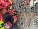 ‘Mordelón’ fue rescatado por los bomberos de una reja, en Amaguaña