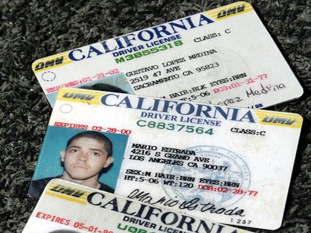 Sin autorización, los datos de la licencia de conducir serán usados para deportar a migrantes en EE.UU 