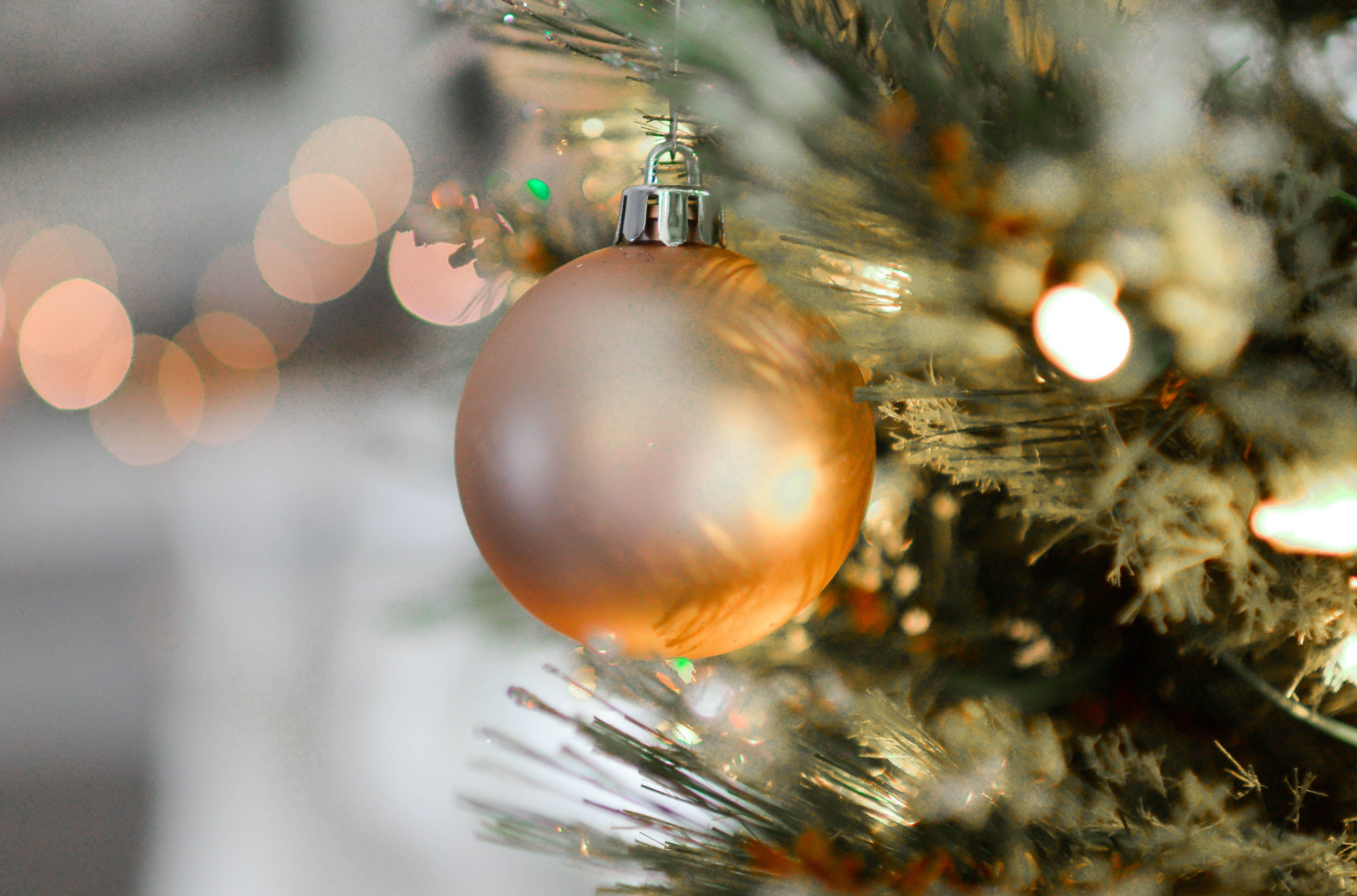 Adornos naturales que debes poner en tu árbol de Navidad para atraer el  dinero