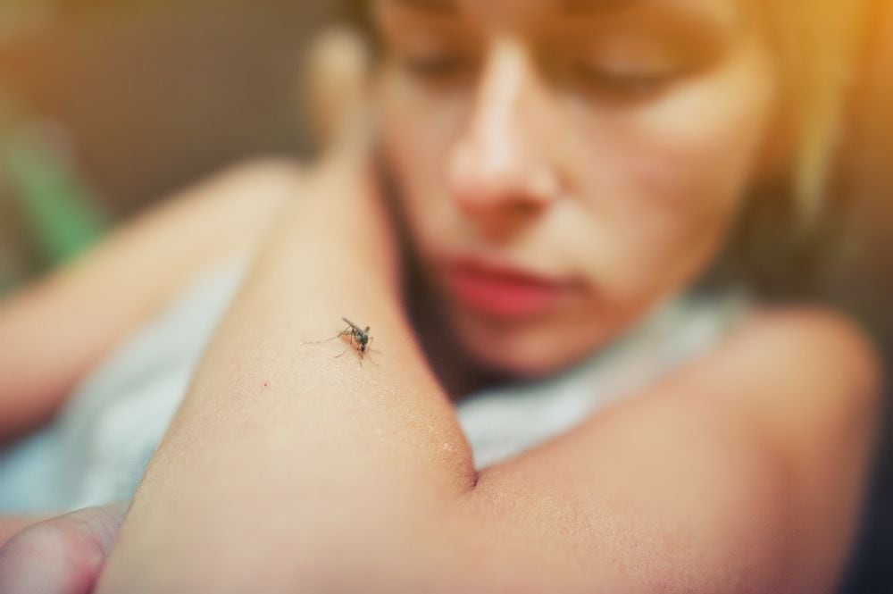 ¿Por qué los mosquitos pican a unas personas y a otras no? Qué es lo que más atrae a este tipo de insectos