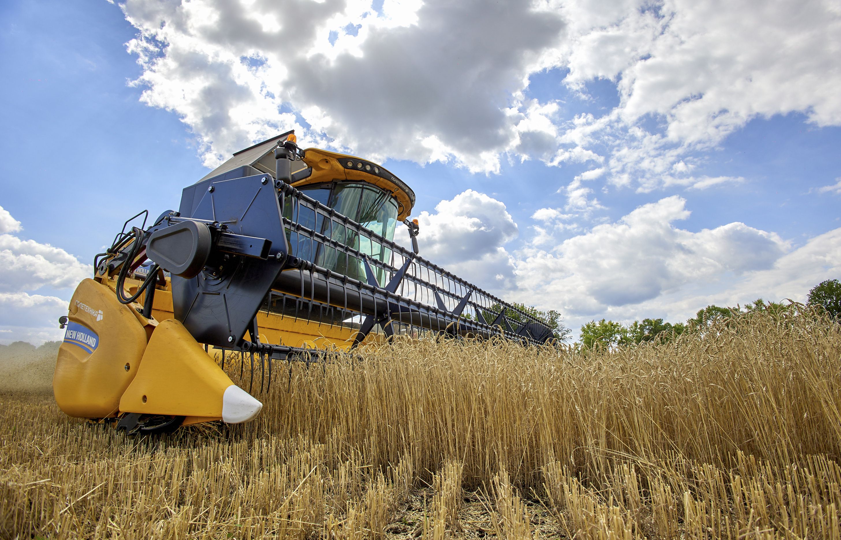  Una cosechadora recolecta trigo en un campo cerca de Járkov, Ucrania, el 30 de julio de 2022. EFE/Sergey Kozlov 