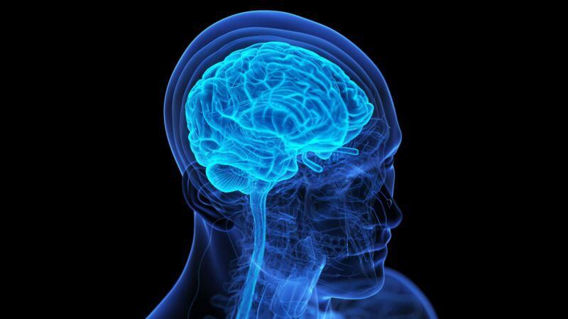 Algunas regiones cerebrales afectadas por el Parkinson pueden originar la aparición de este síntoma. Foto: Getty Images.