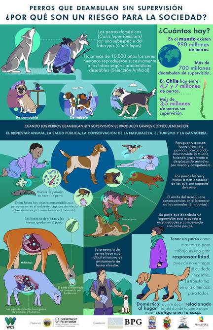 Se estima que hay 700 millones de perros deambulando en todo el mundo. Infografía: WCS