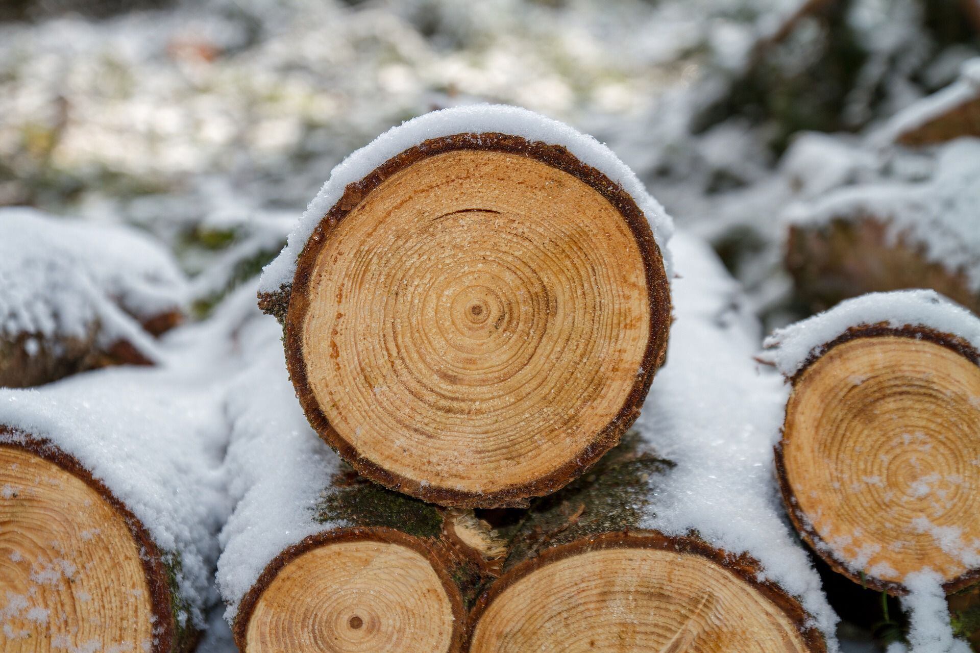 La madera deberá ser tratada, de lo contrario se puede degradar con facilidad.