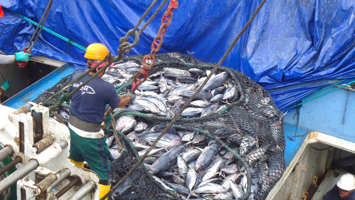 Mercado Latinoamericano de Equipo de Pesca, Informe, Análisis 2024-2032