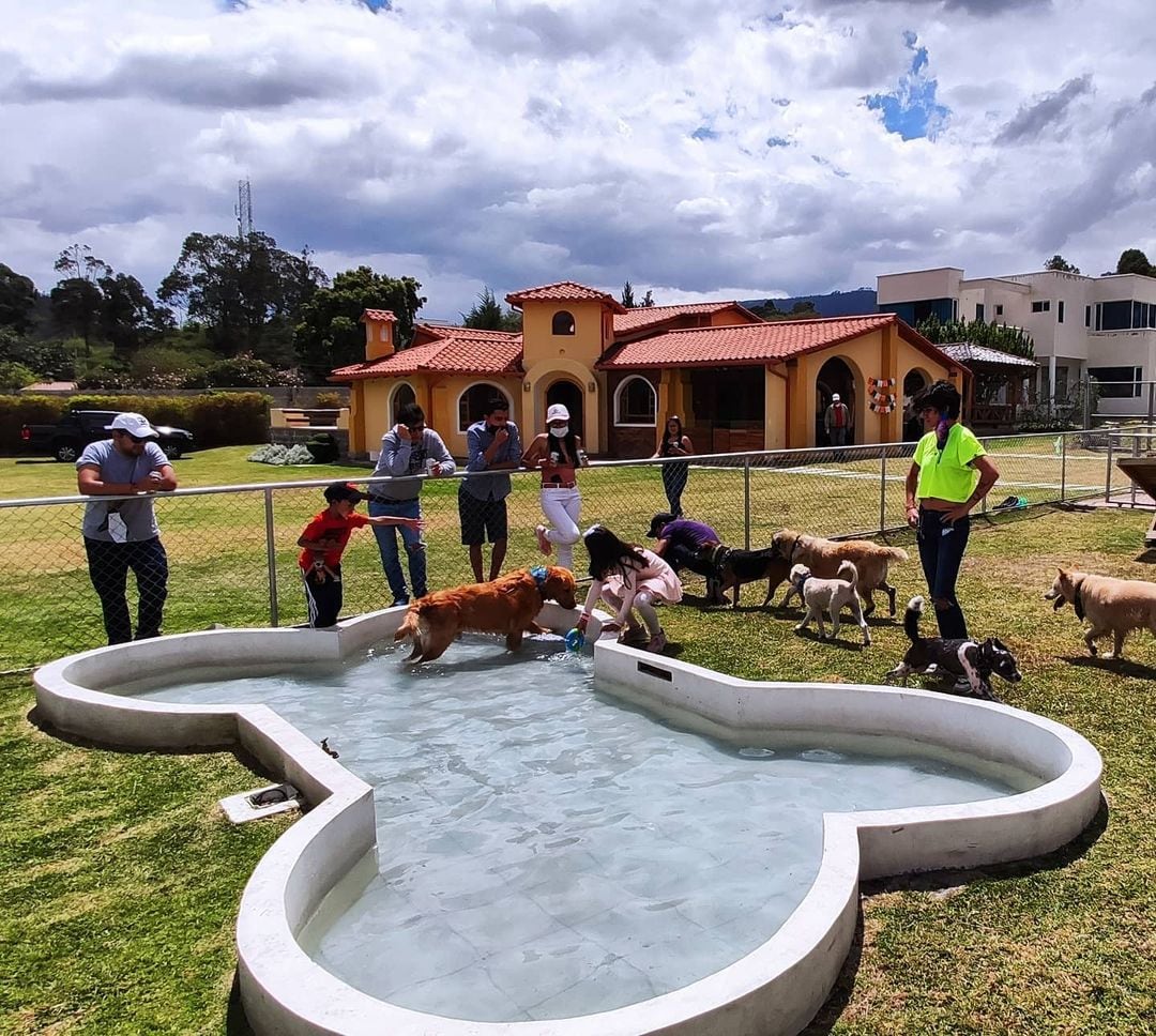 Perro Café en Quito cuenta con espacios pensados para mascotas, entre ellos piscina.