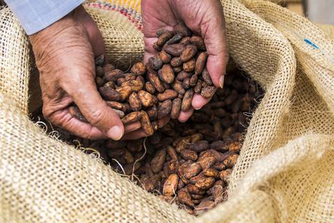 ¿Cuáles son las principales zonas de cultivo del cacao en Ecuador?