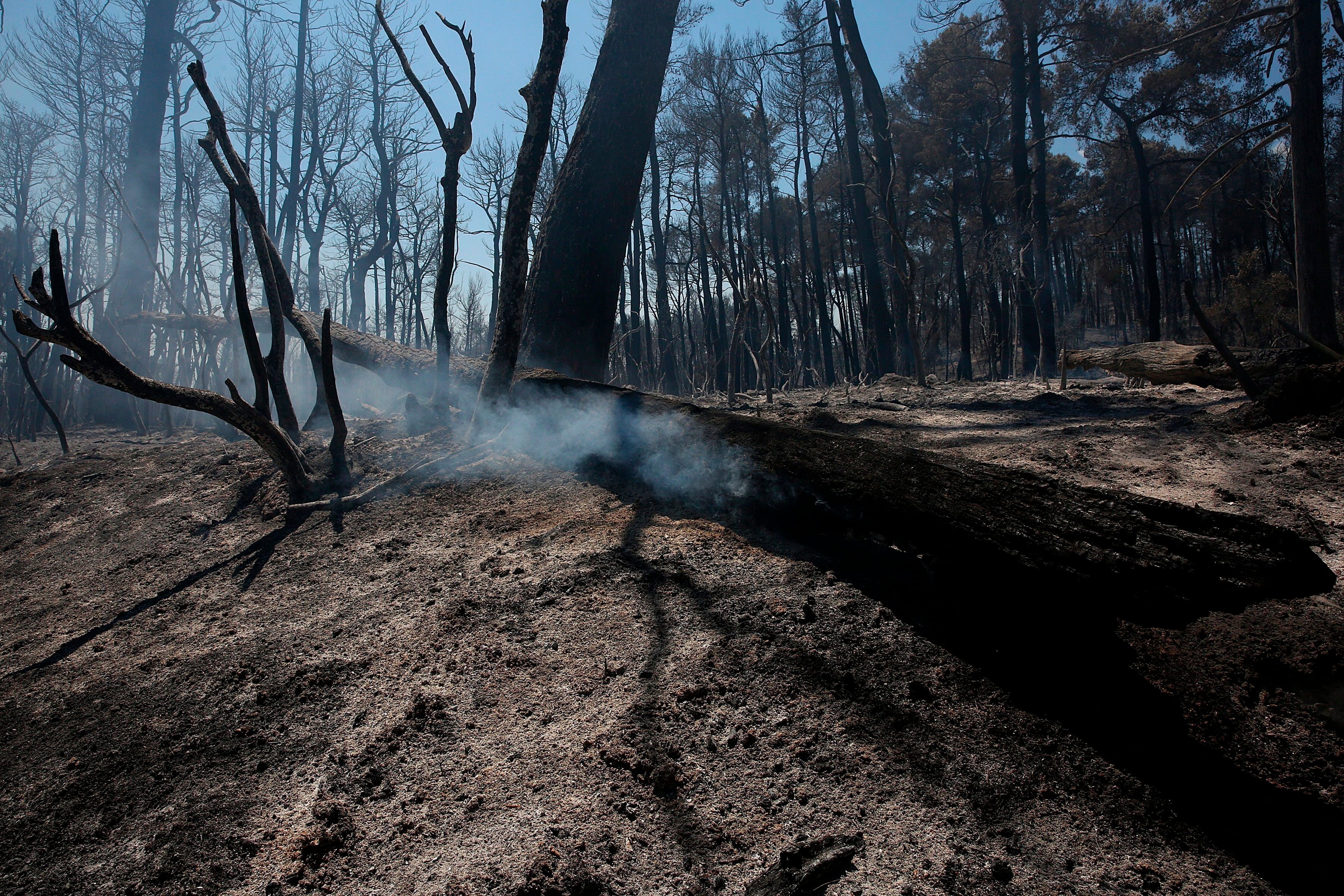 Cambio climático ya tiene efectos irreversibles, según nuevo estudio