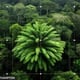 La “planta más solitaria del mundo” a la que los científicos le buscan pareja