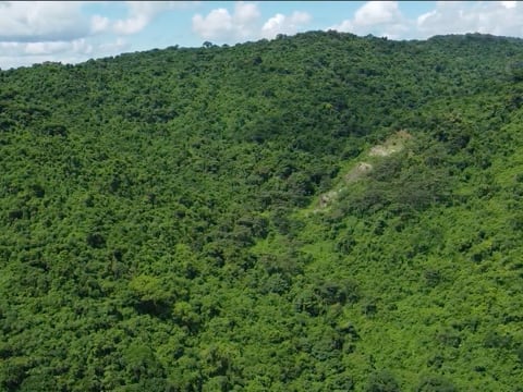 Alemania y Ecuador suscribieron acuerdo financiero por más de $ 25 millones  para reducir emisiones derivadas de la deforestación