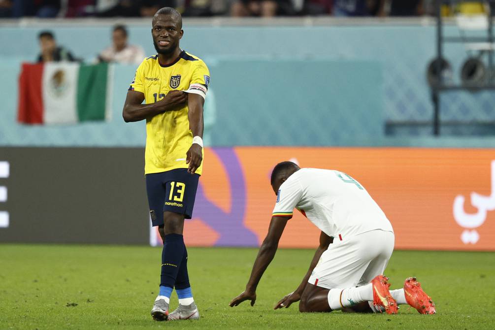 This is how the history of the Ecuadorian national team match against Senegal and other African teams remains  football |  sports