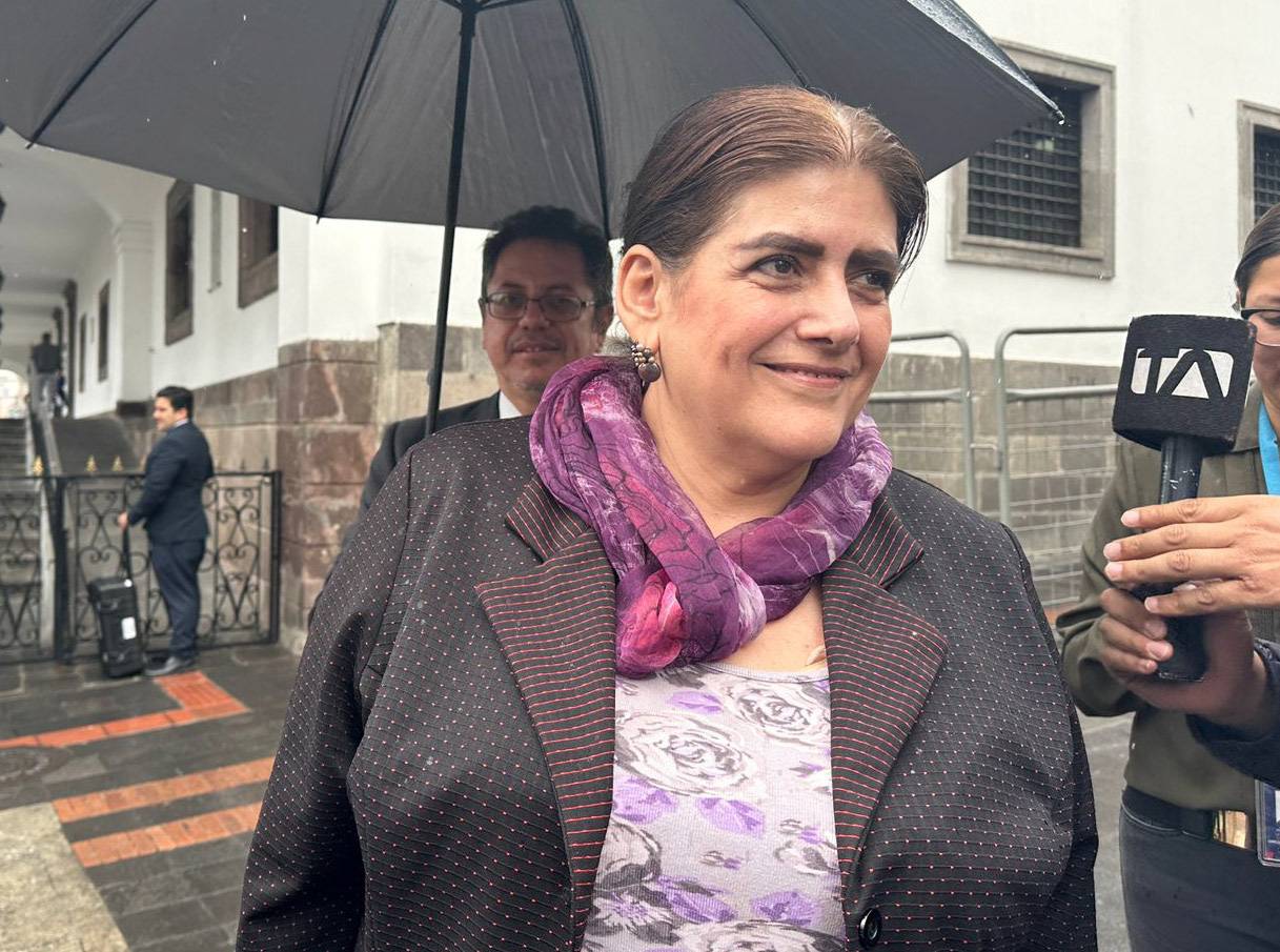 La ministra de Gobierno, Mónica Palencia, estará encargada por ahora