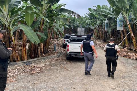 Tres jóvenes fueron ejecutados en una bananera de Santa Rosa