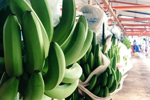 Ecuador y cuatro países bananeros más insisten a supermercados de Europa que calculen un precio justo real de la fruta