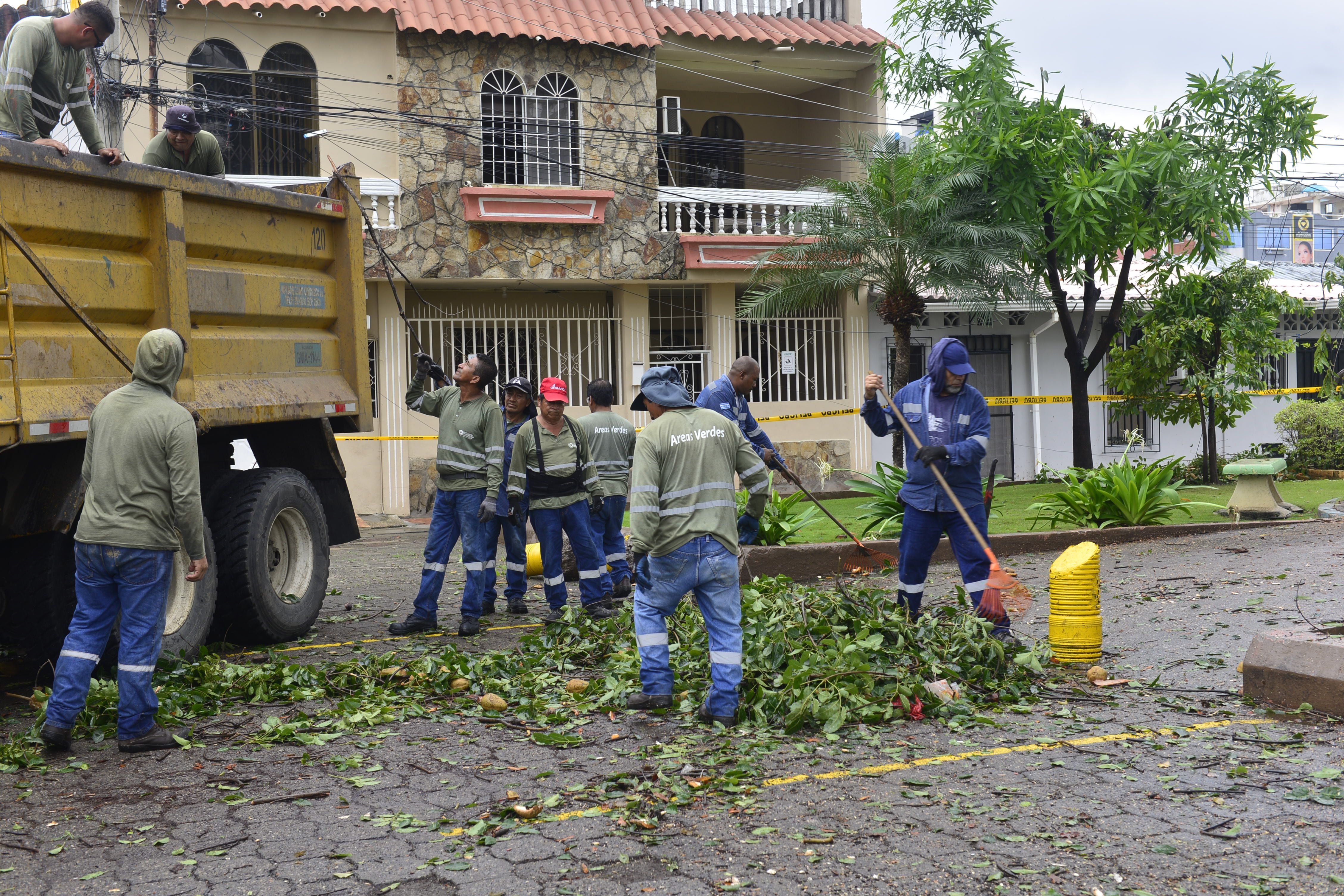 Vecinos en la Alborada se quedaron sin luz por caída de ramas de árboles por la lluvia