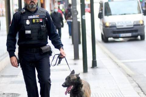 Rompe vidrios de autos y violenta puertas de domicilios: detienen a uno de los ladrones más activos de Sevilla en su arresto número 23