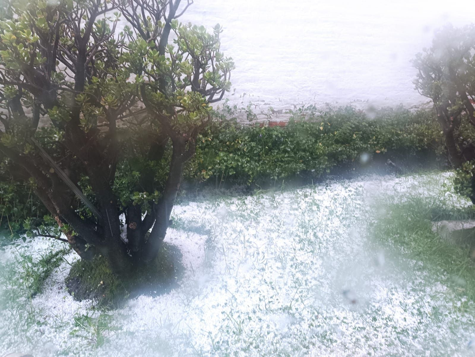 Lluvia con granizo pintó de blanco sectores de Quito y los valles, la tarde de este domingo