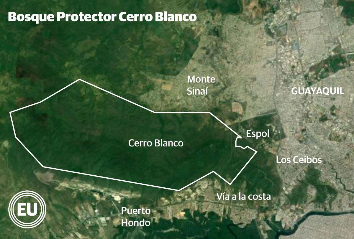 El Bosque Protector Cerro Blanco tiene 6.078 hectáreas y es administrado por la Fundación Probosque.