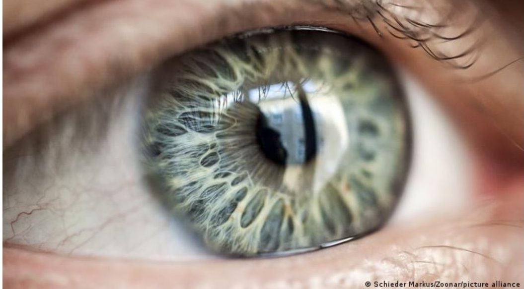Científicos reviven células oculares humanas de donantes de órganos