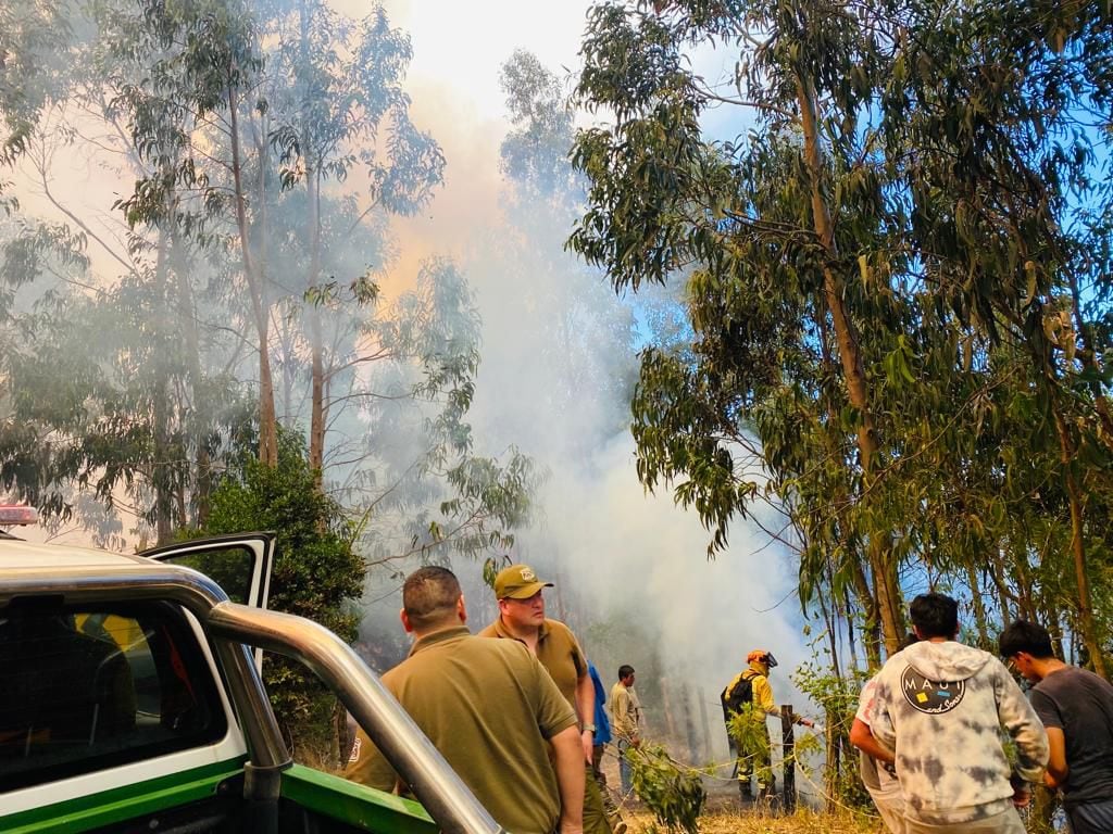 Cinco fallecidos se registran en incendios forestales de Chile
