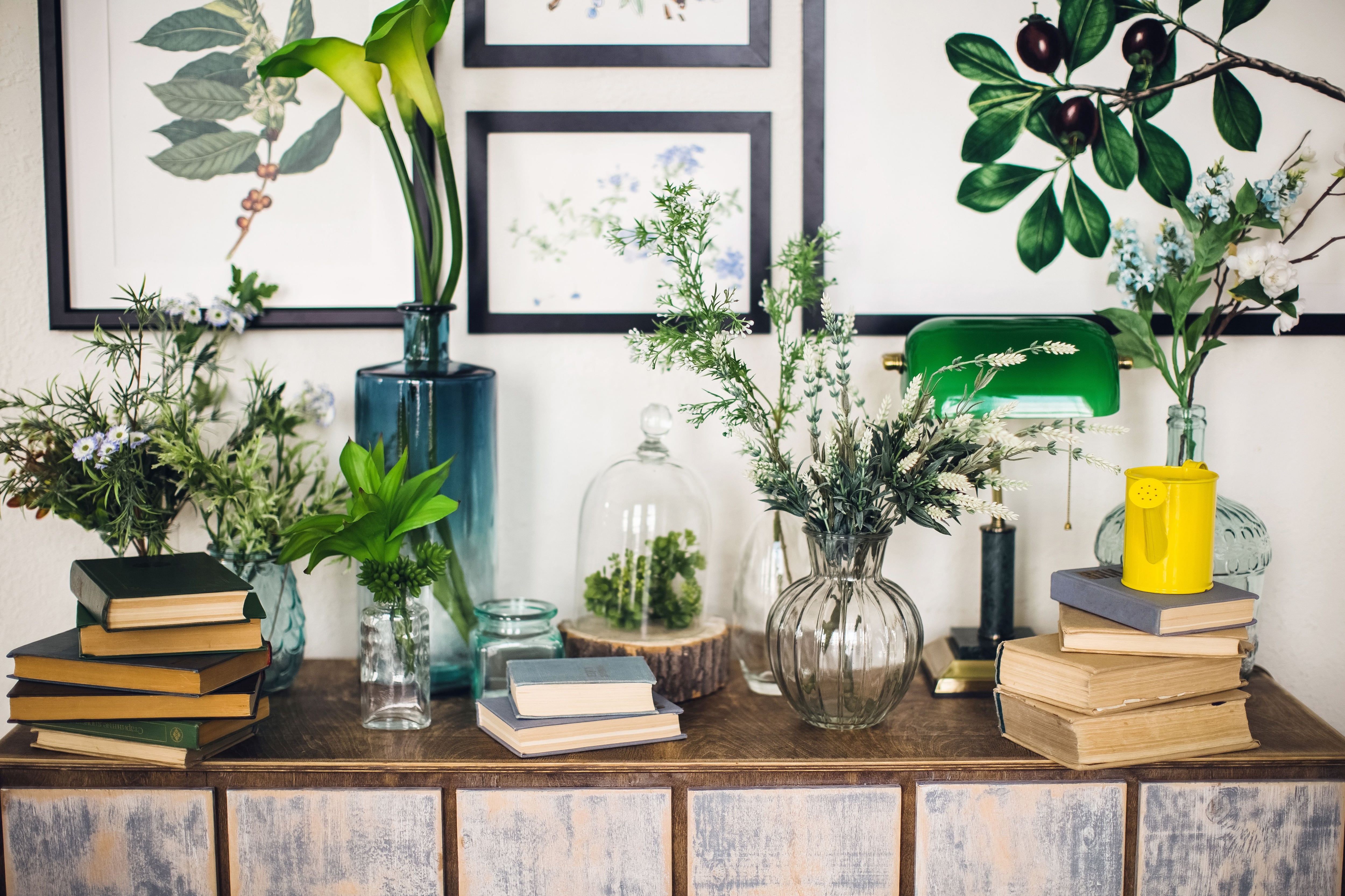 El estilo 'cluttercore' se vería así para los entusiastas por las plantas en casa.