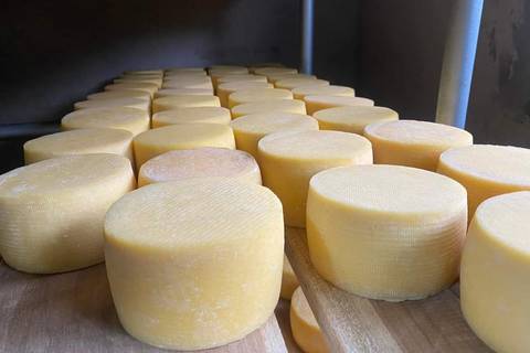 Ecuador tendrá su segunda Copa América del queso en busca de llegar a Europa con sus productos lácteos 