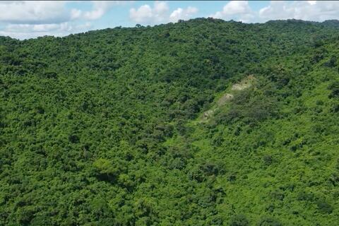 Alemania y Ecuador suscribieron acuerdo financiero por más de $ 25 millones  para reducir emisiones derivadas de la deforestación