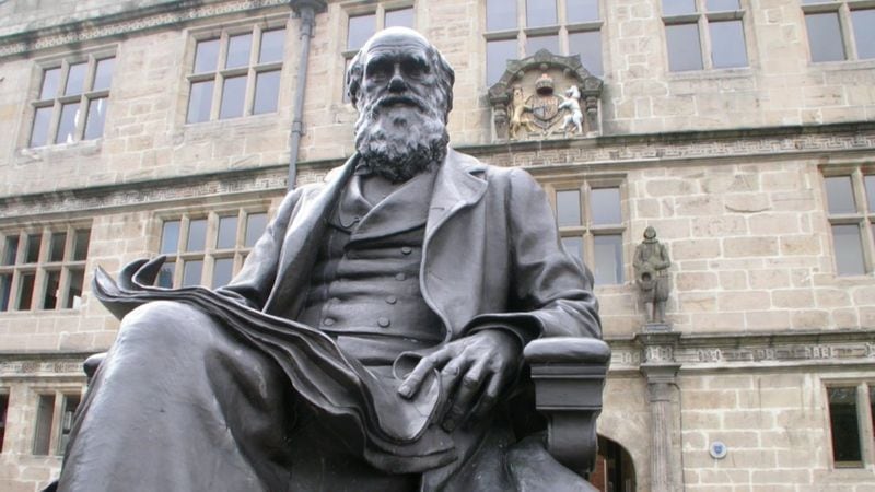 Se cumplen 140 años de la muerte de Charles Darwin, padre de la teoría de la evolución