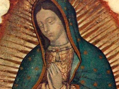 Cómo ver En Vivo la misa de la Virgen de Guadalupe