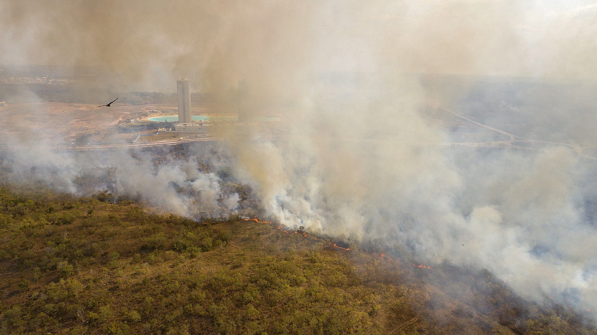 Incendios forestales en Brasil destruyeron un área del tamaño de Bélgica