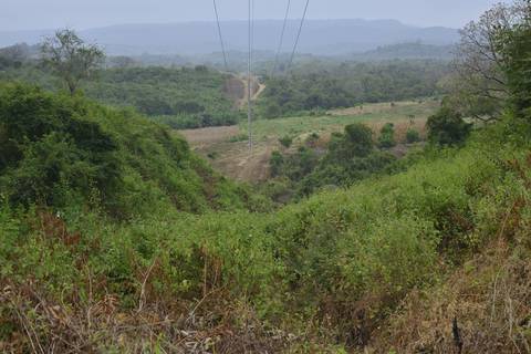 El Ministerio de Agricultura cedió 37 hectáreas al SNAI para construir la cárcel, pero comuneros dicen que donde los ingenieros hacen las trochas es el bosque protegido La Envidia