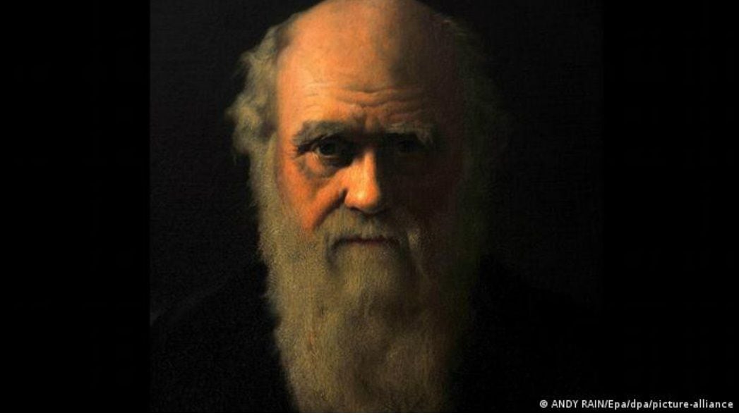Charles Darwin se equivocó sobre la selección sexual, según nueva investigación