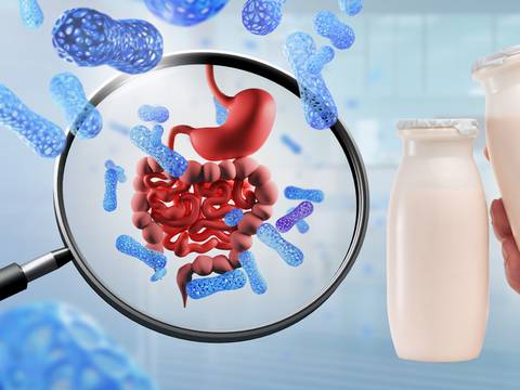 Probióticos: el secreto mejor guardado para una salud digestiva y mental equilibrada