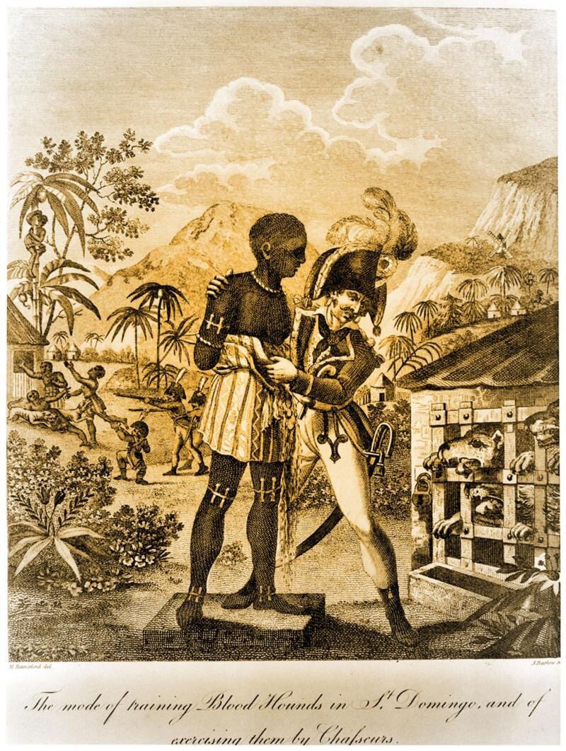 Grabado de un boceto del soldado británico Marcus Rainsford que muestra cómo entrenaban a los sabuesos en Santo Domingo usando esclavos, 1791-1803. GETTY IMAGES