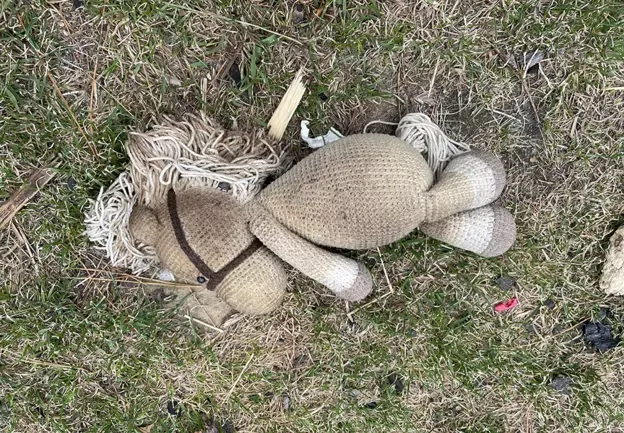 El juguete de un niño yace en los terrenos de la casa familiar quemada.