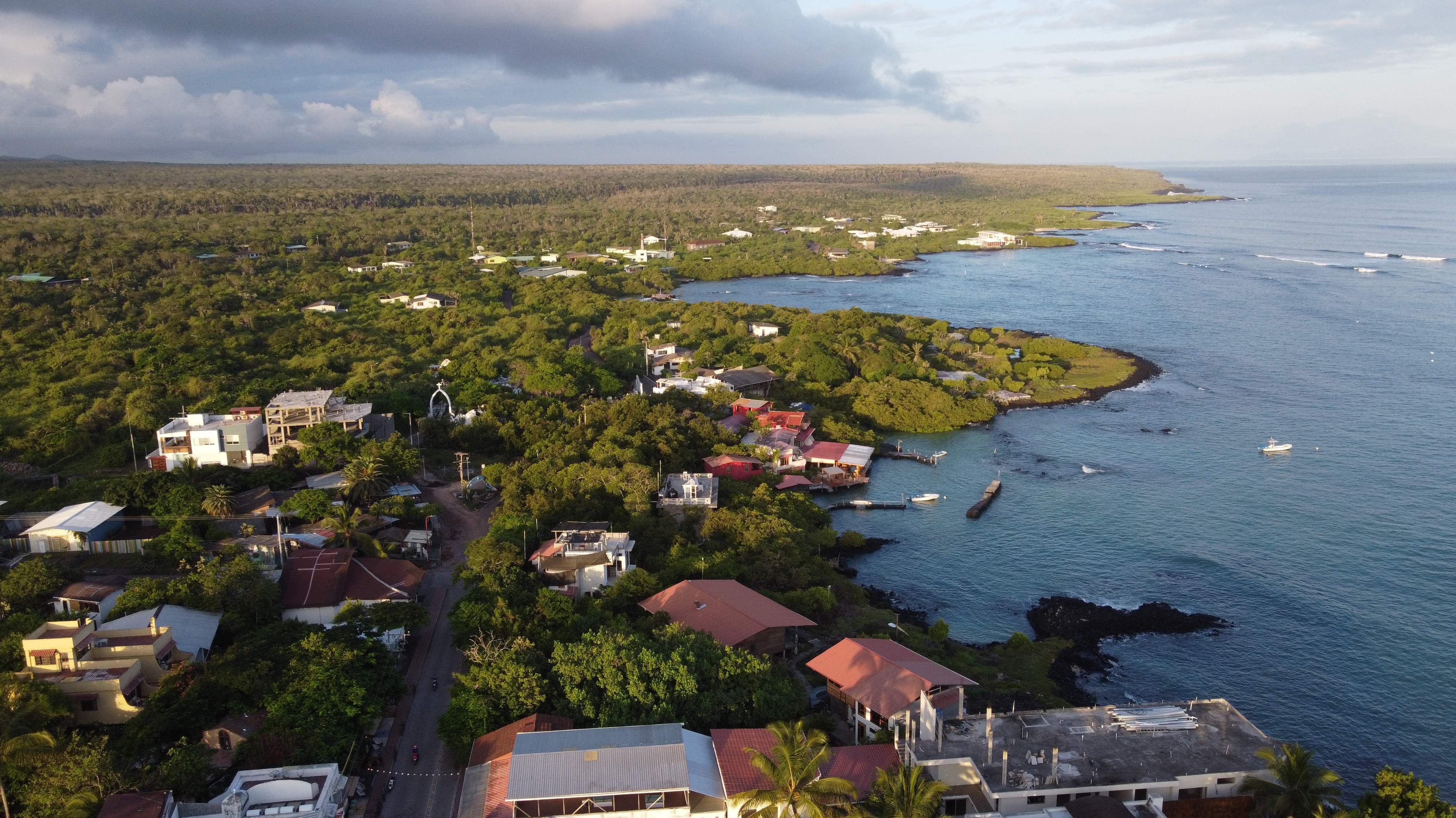 100.000 mosquitos estériles serán liberados en Galápagos para prevenir dengue, zika y chikungunya