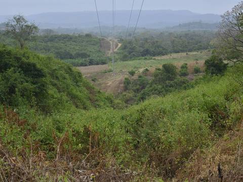 El Ministerio de Agricultura cedió 37 hectáreas al SNAI para construir la cárcel, pero comuneros dicen que donde los ingenieros hacen las trochas es el bosque protegido La Envidia