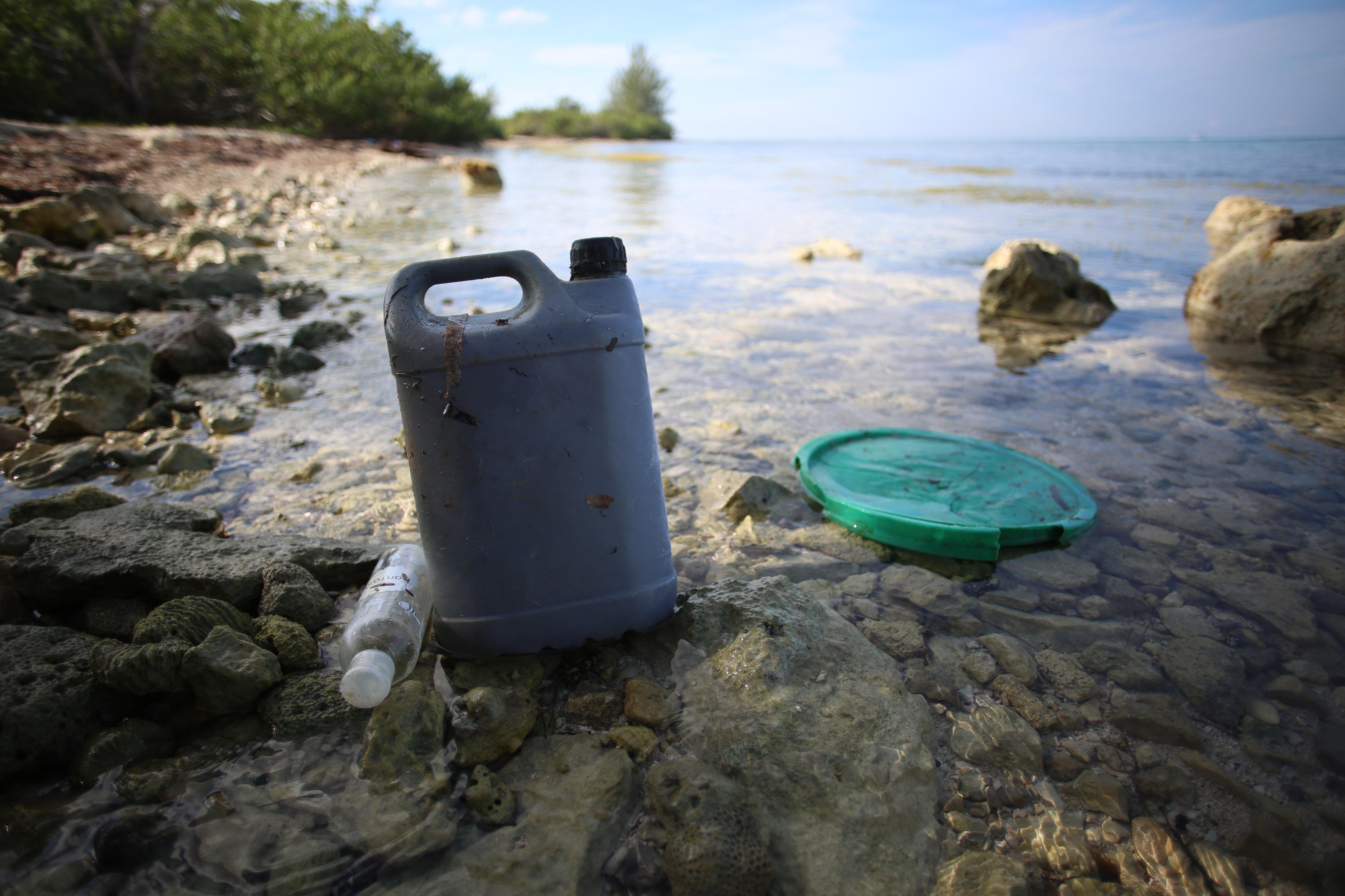 Encuentran restos de plásticos en especies de peces de aguas profundas