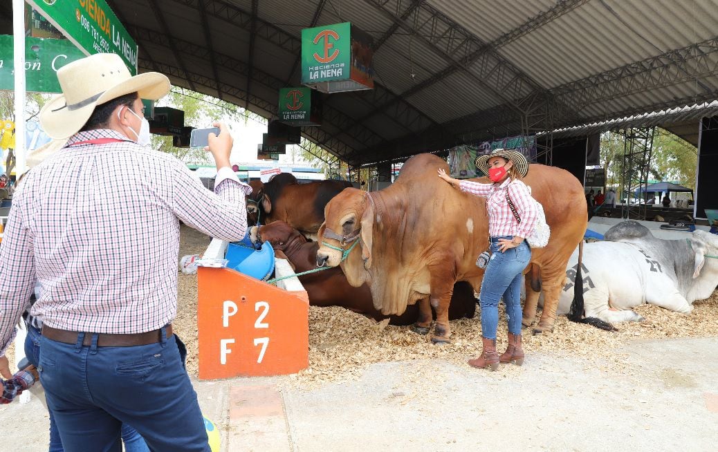 Juzgamiento de ganado, rodeos y espectáculos musicales, entre atractivos de la Expoferia Ganadera, que abre sus puertas en Durán desde este viernes