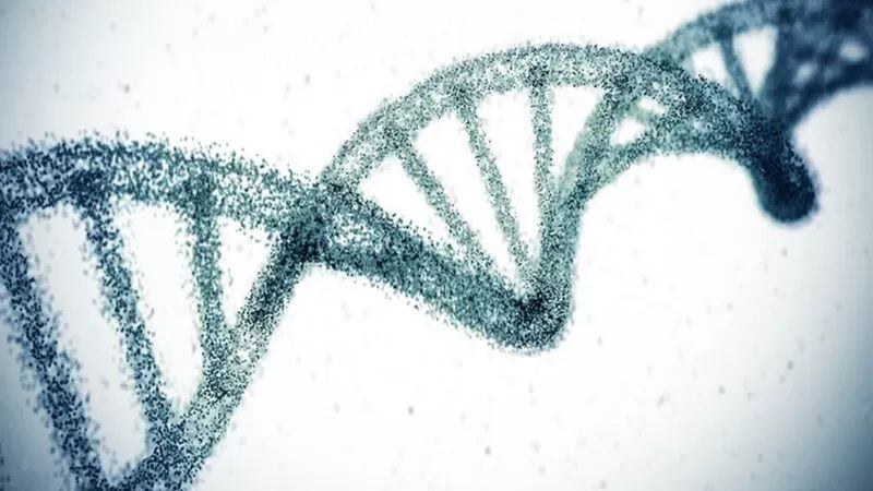El ADN suele tener la forma de una doble hélice. GETTY IMAGES