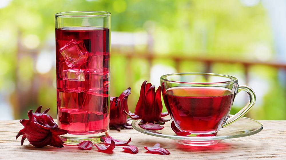 El té de Jamaica sirve para combatir la hipertensión arterial y estudios  científicos avalan sus beneficios | Salud | La Revista | El Universo