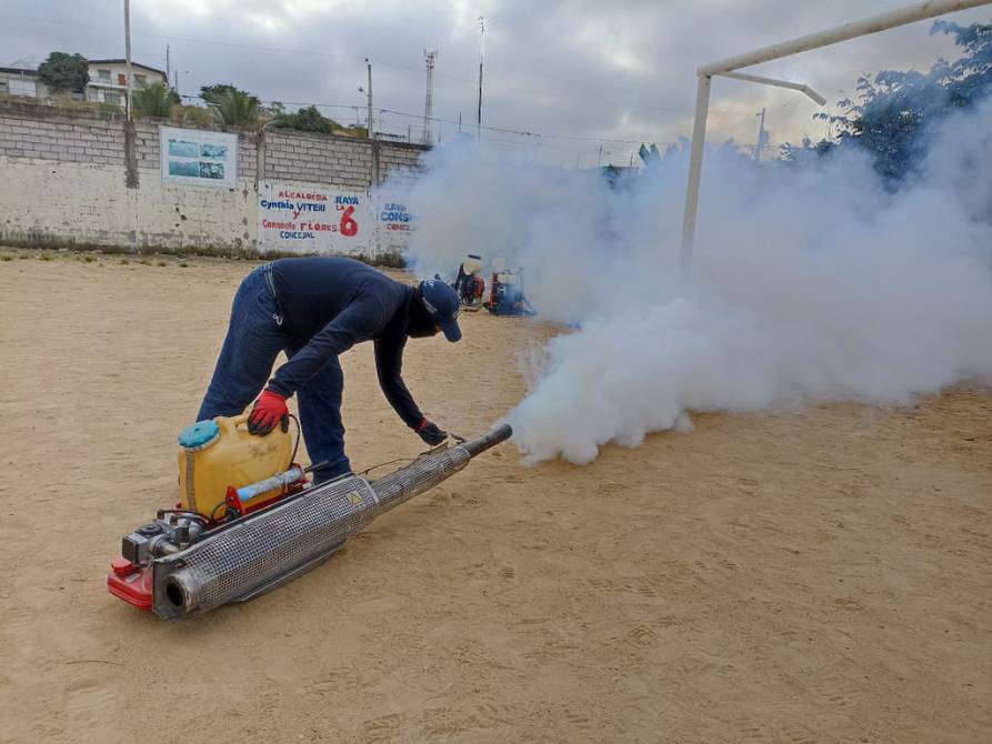 Papúa Nueva Guinea Margarita Criatura Labor comunitaria, destrucción de criaderos de mosquitos y fumigación como  medidas de prevención del dengue ante aumento de casos en Guayaquil |  Comunidad | Guayaquil | El Universo