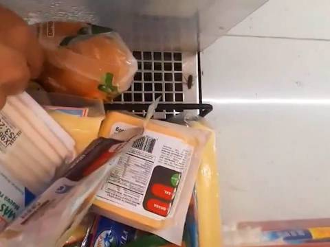 Clausuran local de cadena de supermercado tras hallar plagas en áreas de almacenamiento