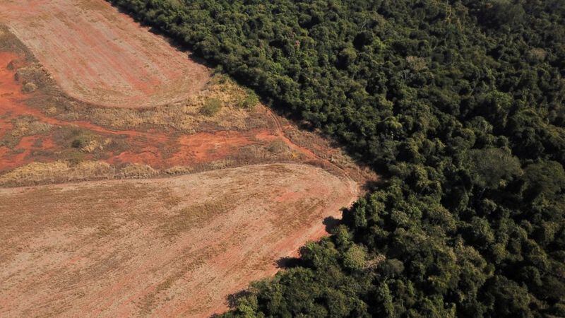 Las tasas de deforestación en Brasil se dispararon durante el gobierno de Bolsonaro. REUTERS